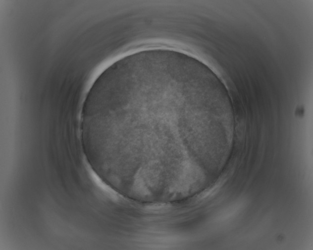 X0000092321535200710121513