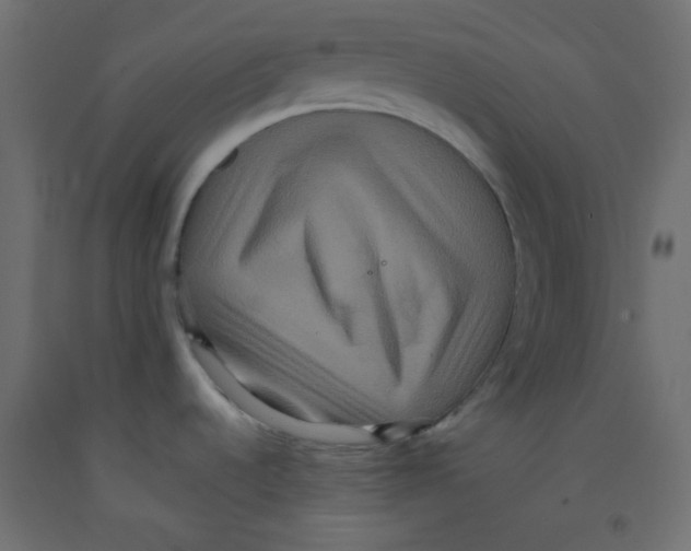 X0000092321536200710121513