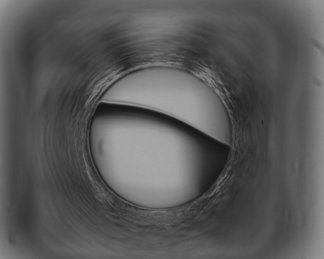 X0000092330001200709141126