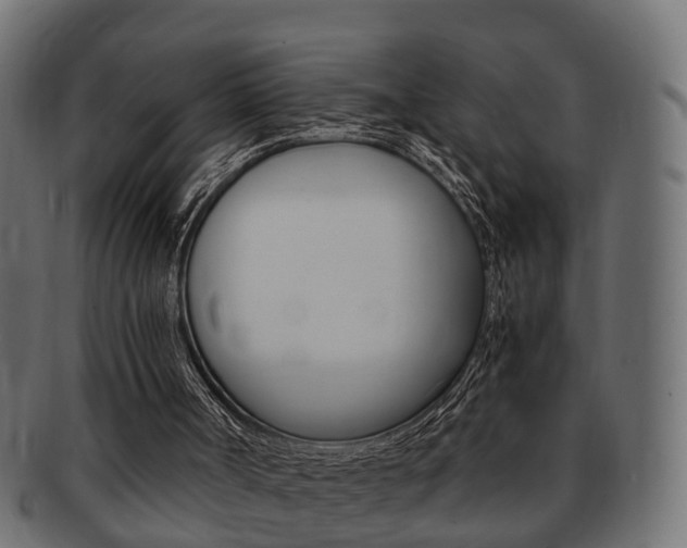 X0000092330002200709141126