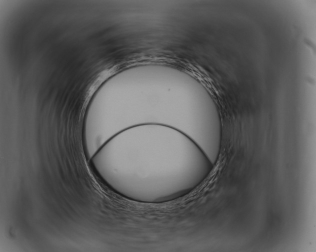 X0000092330003200709141126