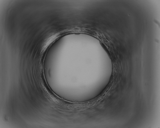 X0000092330005200709141126