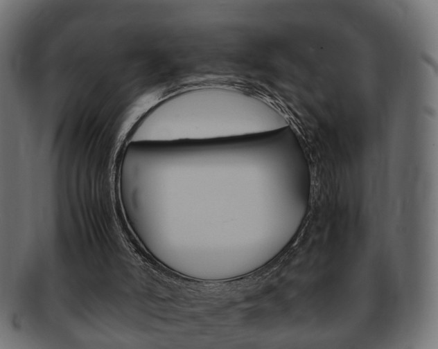 X0000092330006200709141126