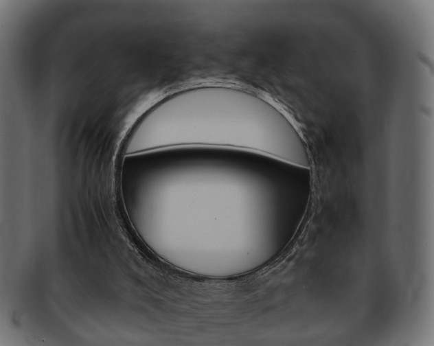 X0000092330008200709141126