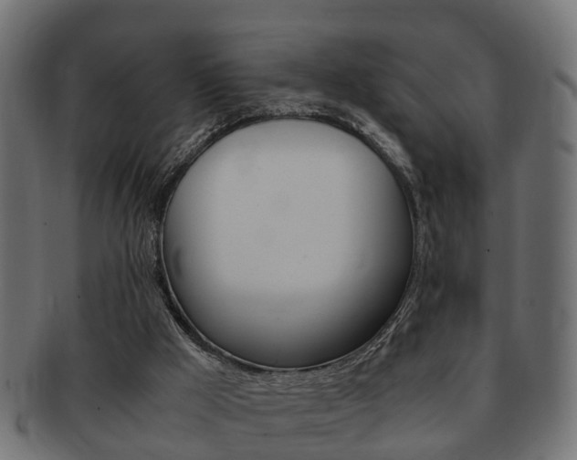 X0000092330009200709141126