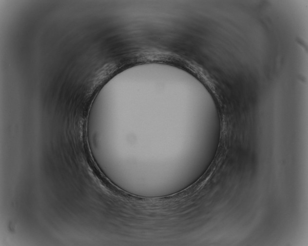 X0000092330010200709141126
