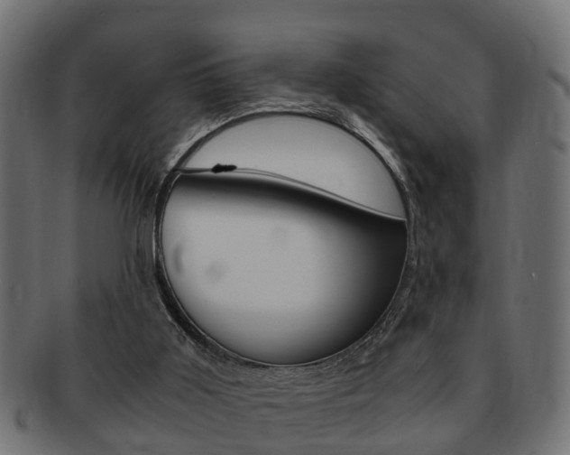 X0000092330011200709141126
