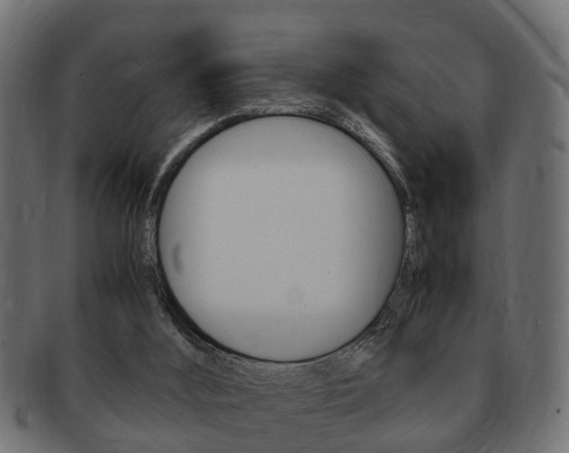 X0000092330012200709141126
