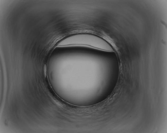 X0000092330013200709141126