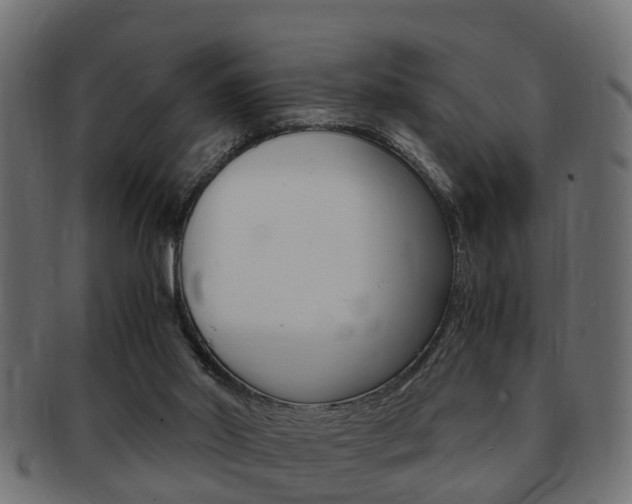 X0000092330014200709141126