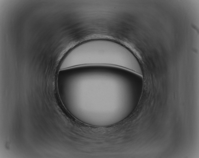 X0000092330015200709141126