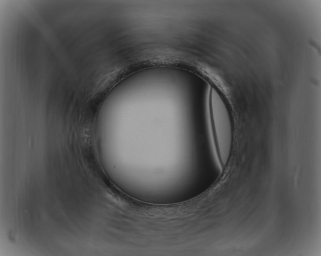 X0000092330017200709141126