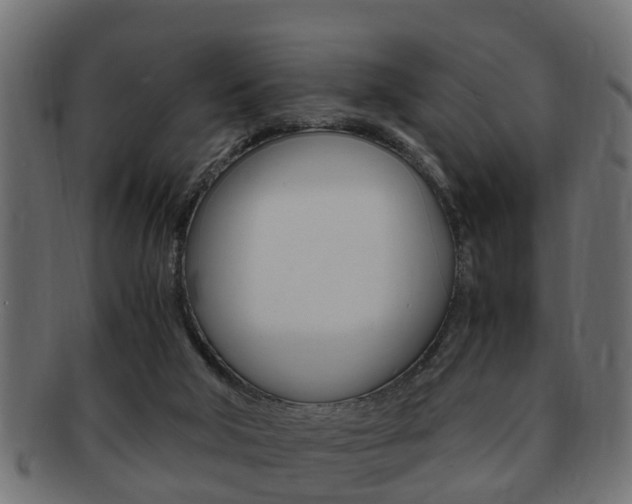 X0000092330018200709141126