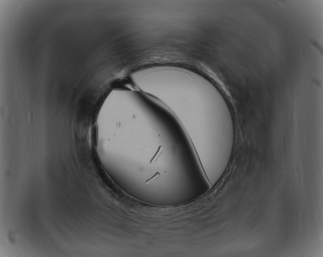 X0000092330019200709141126