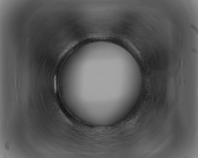 X0000092330020200709141126