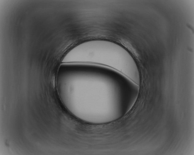 X0000092330021200709141126