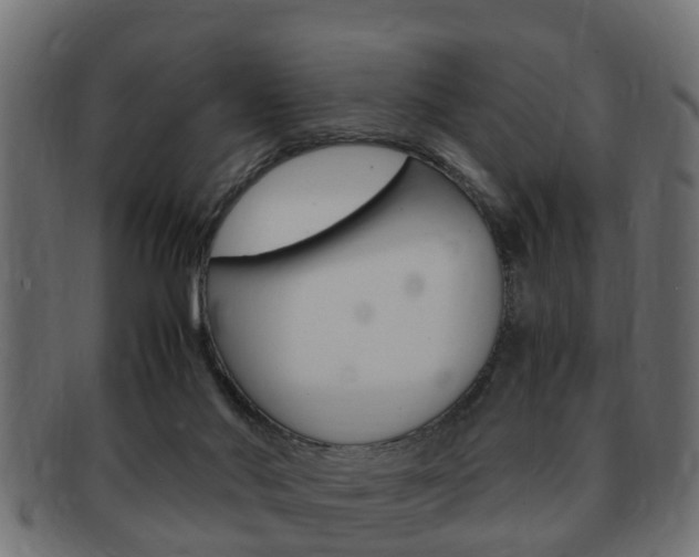 X0000092330022200709141126
