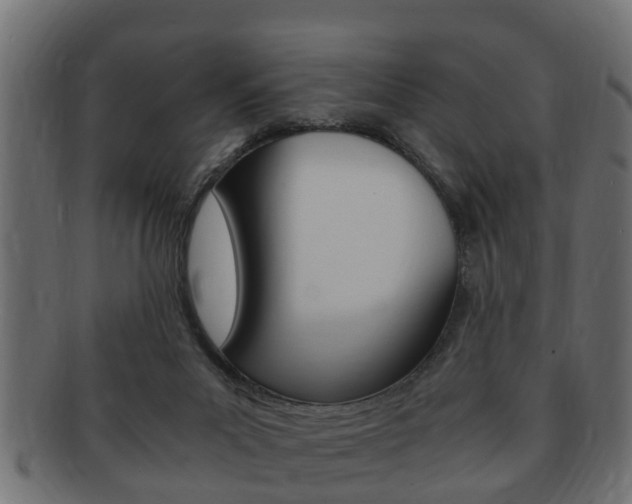 X0000092330023200709141126