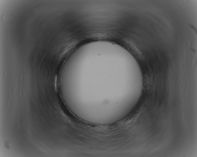 X0000092330024200709141126