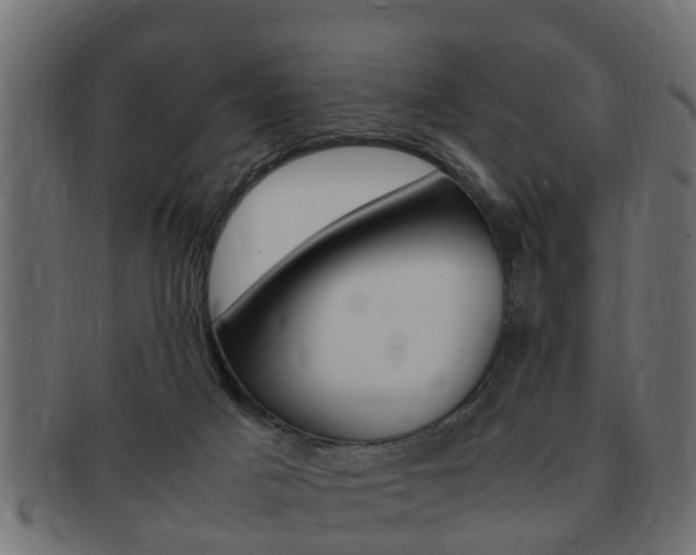 X0000092330025200709141126