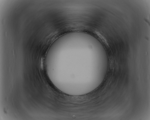 X0000092330026200709141126