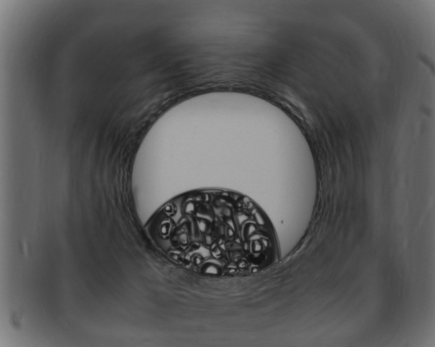 X0000092330029200709141126