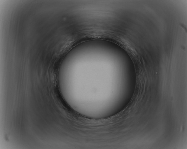 X0000092330031200709141126