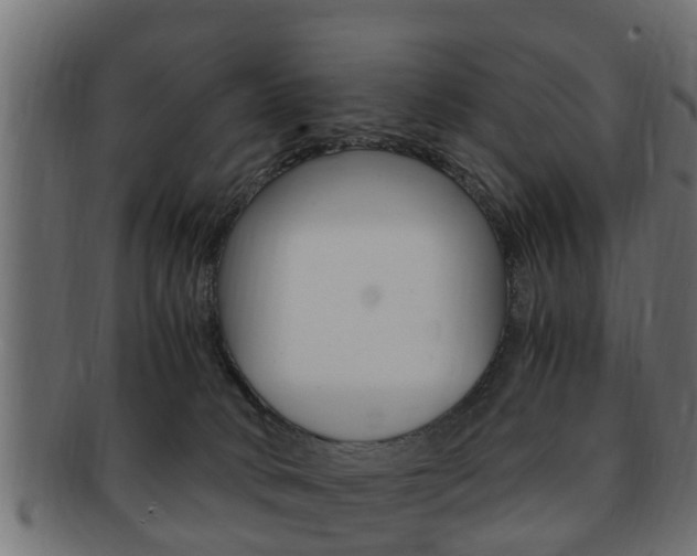 X0000092330034200709141126