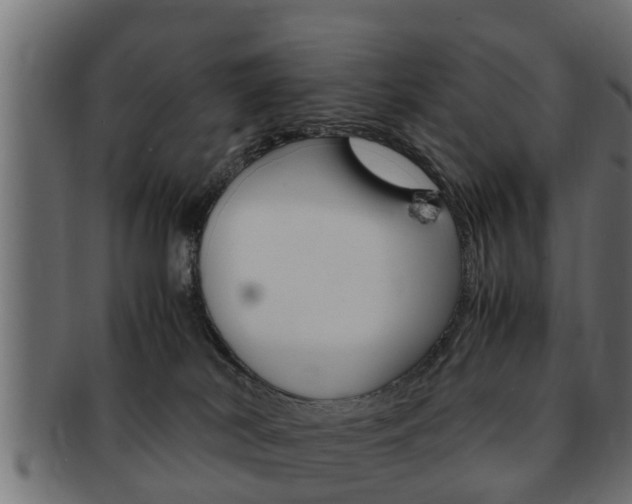 X0000092330038200709141126