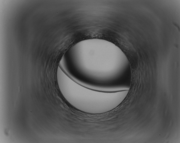 X0000092330039200709141126
