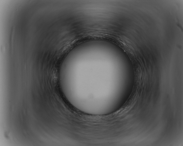 X0000092330040200709141126
