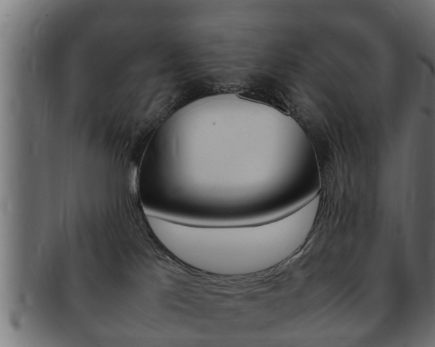 X0000092330041200709141126