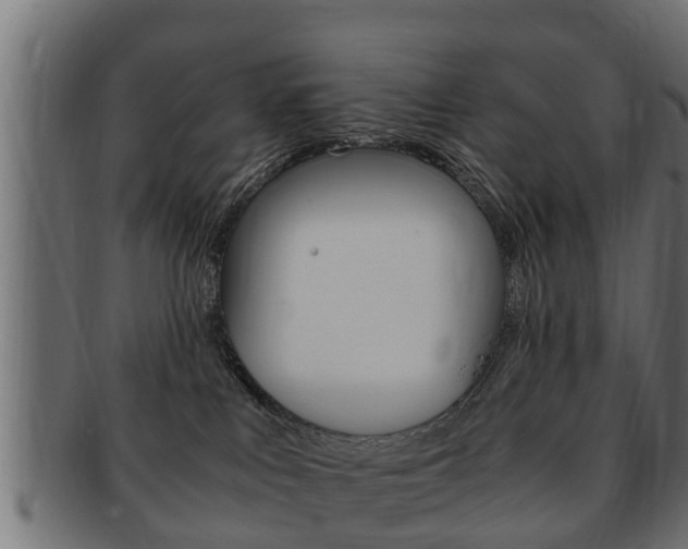 X0000092330043200709141126