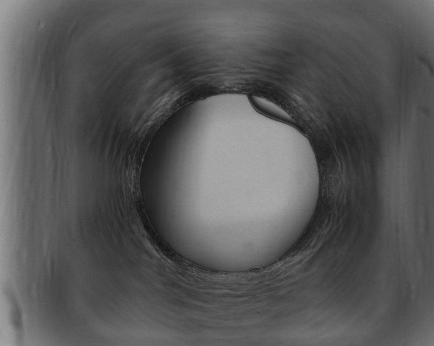 X0000092330044200709141126