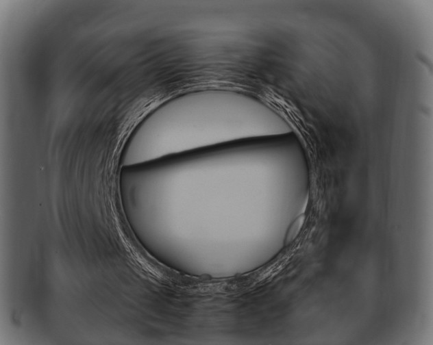 X0000092330049200709141125