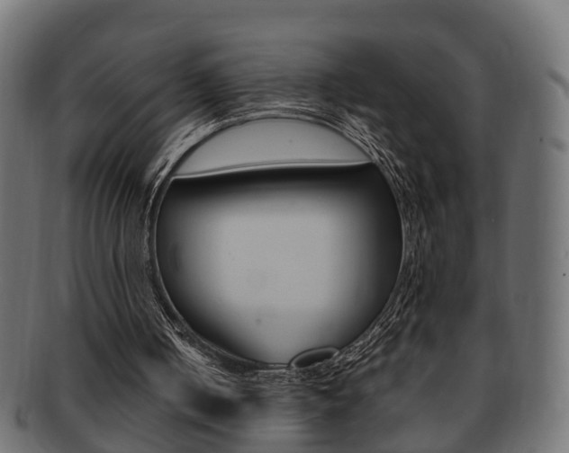 X0000092330050200709141125