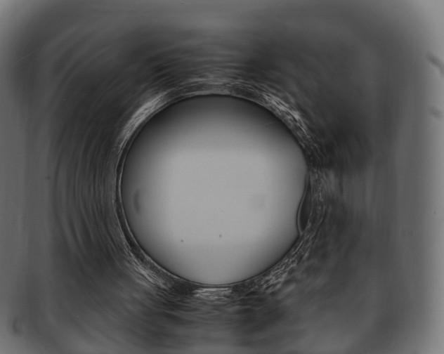 X0000092330051200709141125