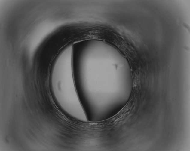 X0000092330052200709141125