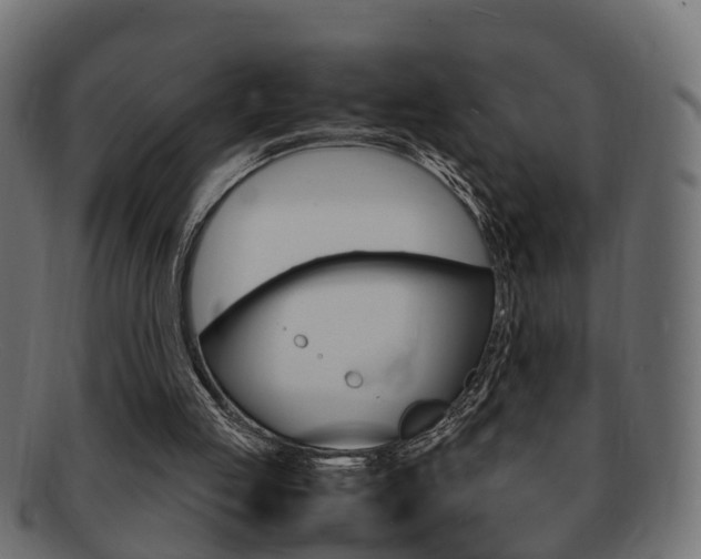 X0000092330053200709141125