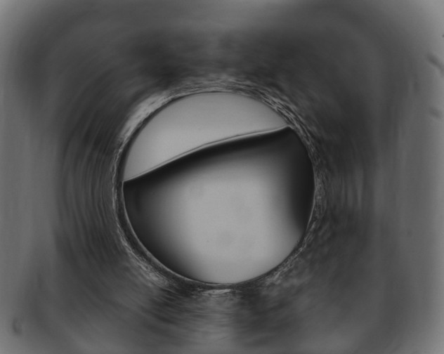 X0000092330054200709141125