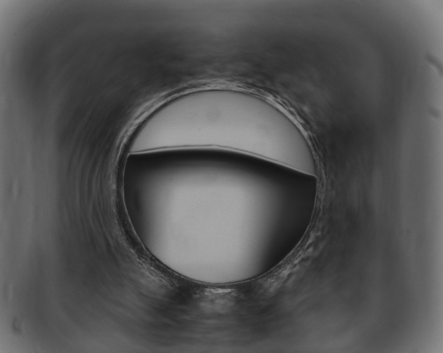 X0000092330055200709141125