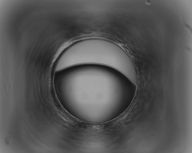 X0000092330056200709141125