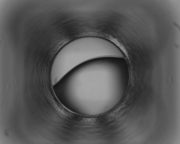 X0000092330057200709141125