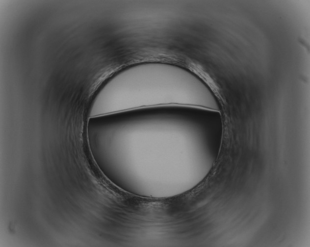 X0000092330058200709141125