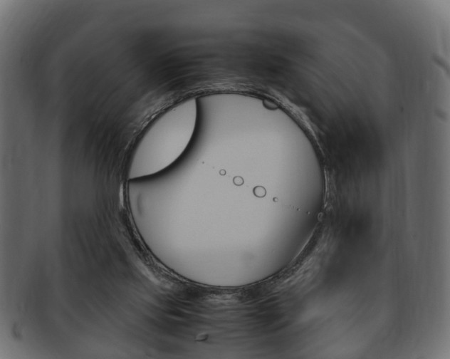 X0000092330061200709141125
