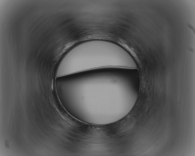X0000092330062200709141125