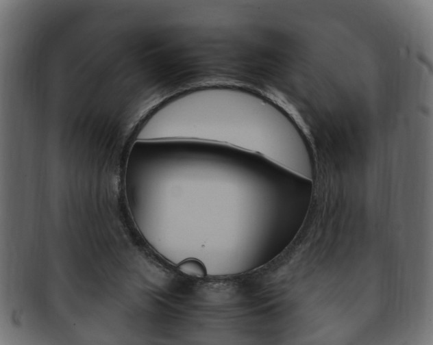 X0000092330063200709141125