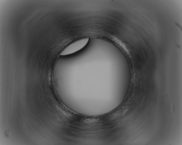 X0000092330065200709141125