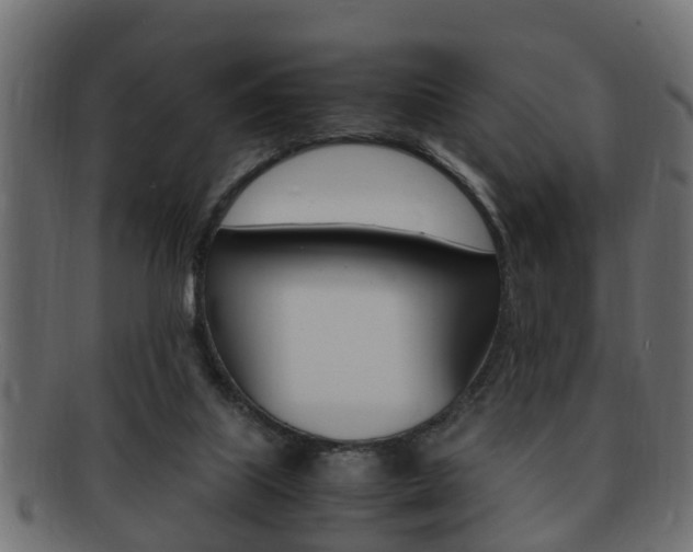 X0000092330067200709141125