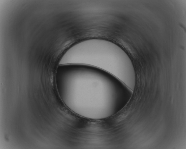 X0000092330072200709141126